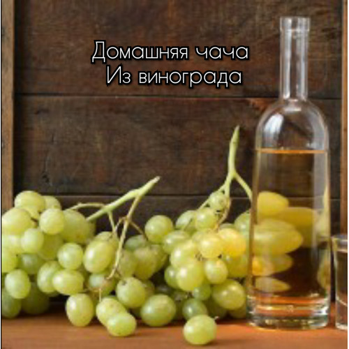 Чача домашняя